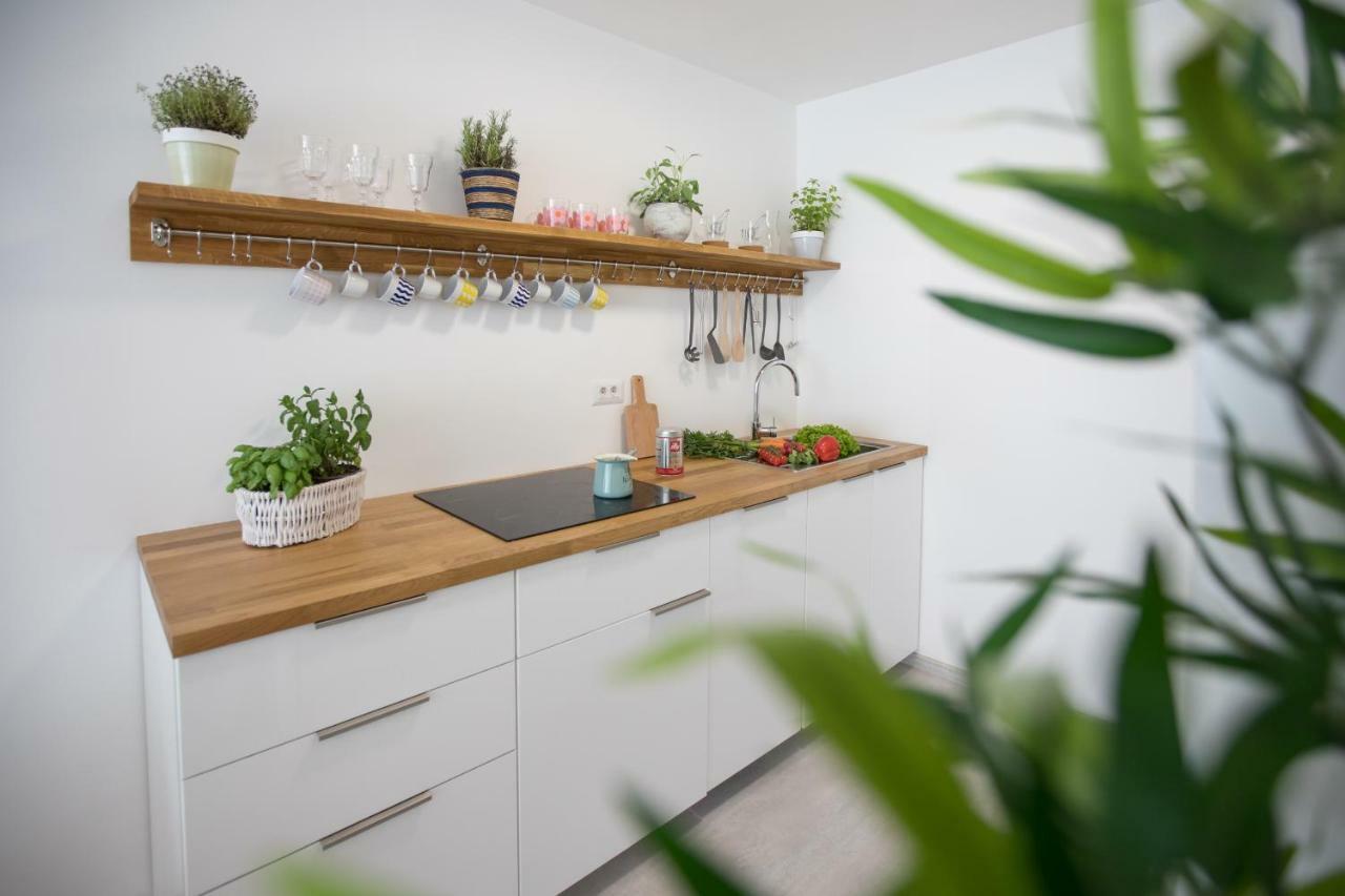 Family Apartment With Garden Lublaň Exteriér fotografie