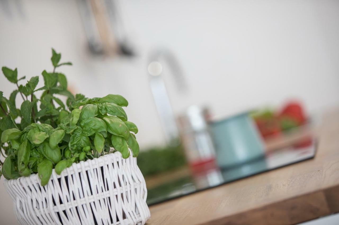 Family Apartment With Garden Lublaň Exteriér fotografie