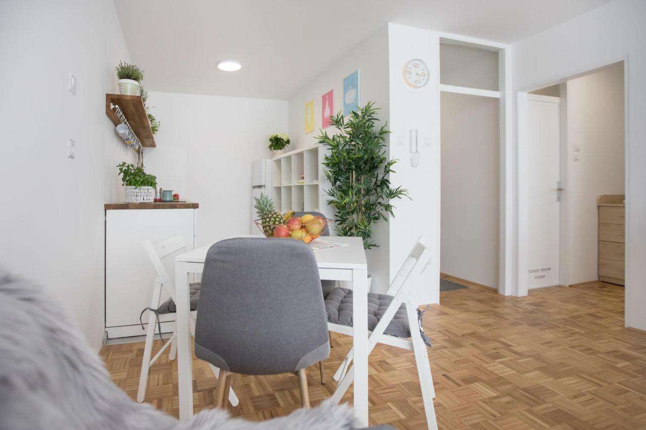 Family Apartment With Garden Lublaň Exteriér fotografie