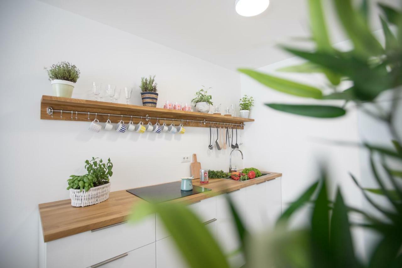 Family Apartment With Garden Lublaň Exteriér fotografie