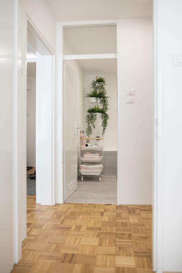 Family Apartment With Garden Lublaň Exteriér fotografie