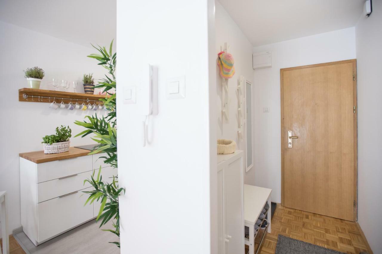 Family Apartment With Garden Lublaň Exteriér fotografie